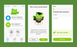 Duolingo mobile app design services