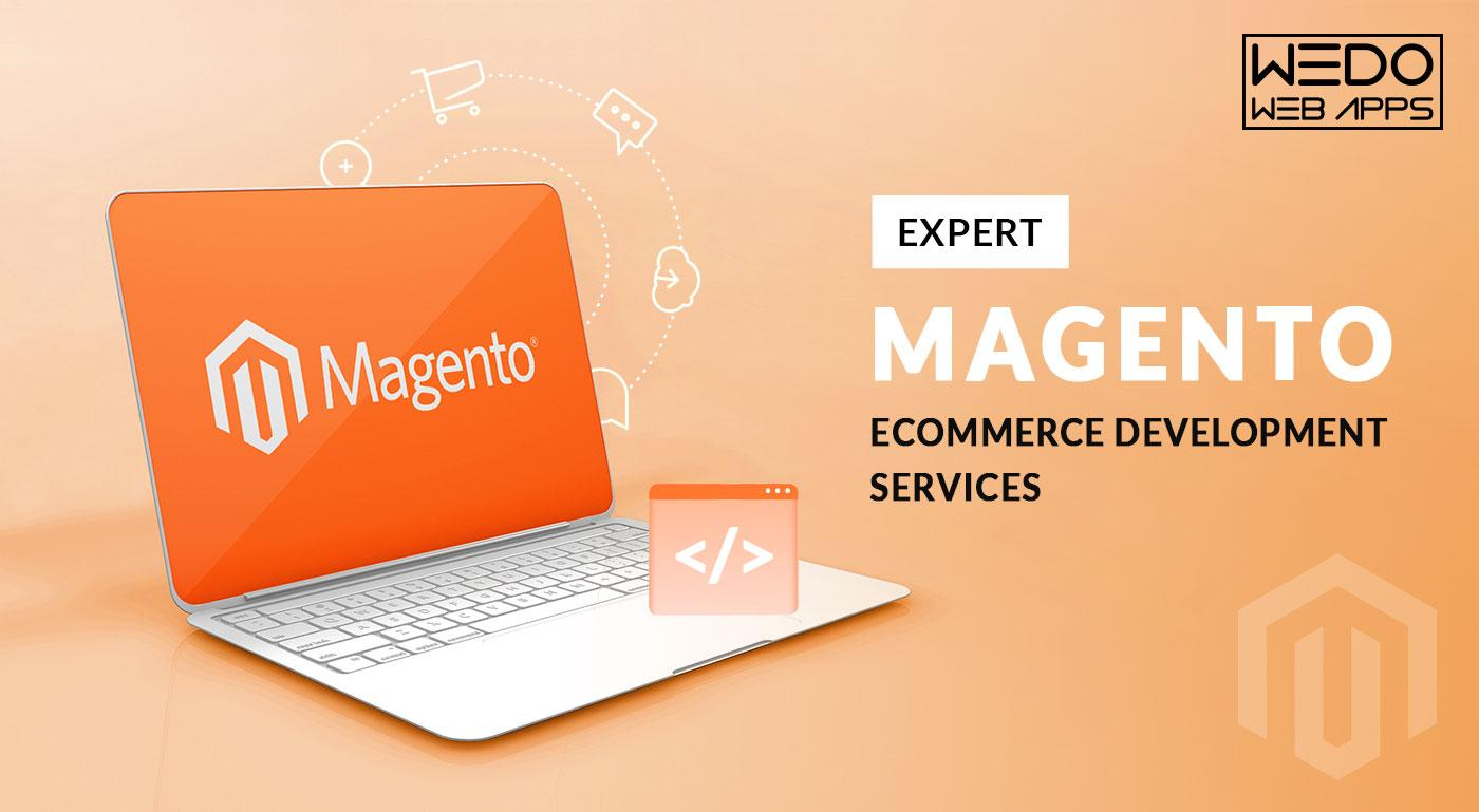 Expert Magento Ecommerce Development Services in the USA